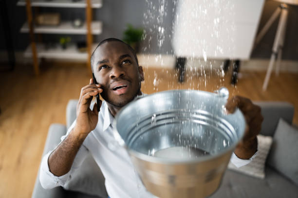 Best Flood restoration services  in Brielle, NJ