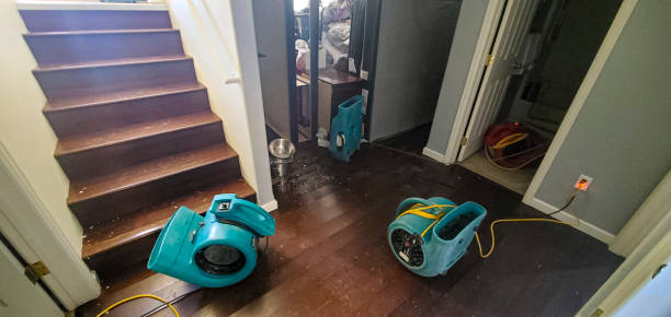, NJ Water damage restoration Company