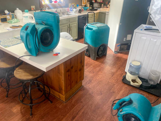 Best Commercial water damage restoration  in Brielle, NJ