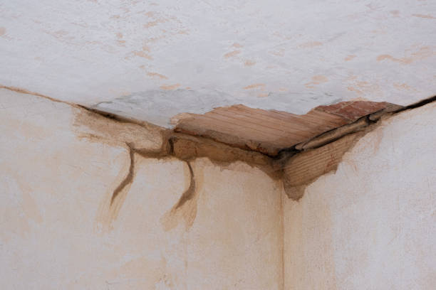 Best Local water damage restoration  in Brielle, NJ