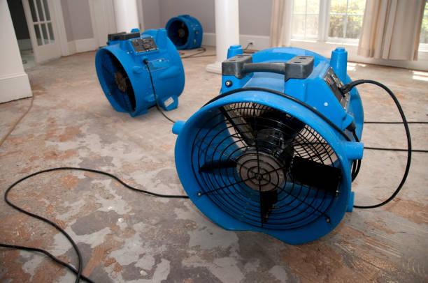 Best Basement water damage restoration  in Brielle, NJ