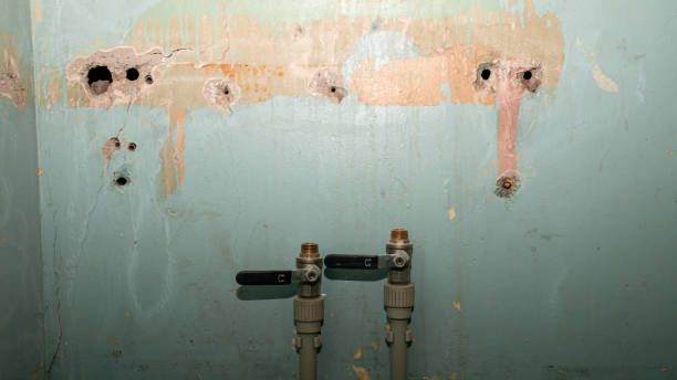 Best 24-hour water damage restoration  in Brielle, NJ