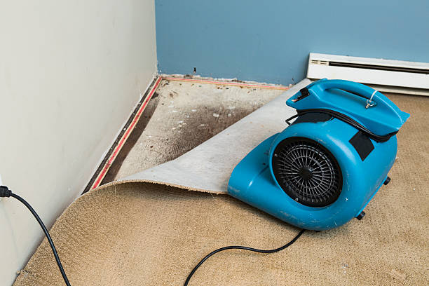 Best Water damage restoration near me  in Brielle, NJ